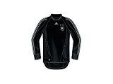 ADIDAS Torwarttrikot DFB, Black/Silver