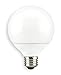 LUMAPRO 15W, G30 Screw-In Fluorescent Light Bulb