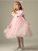 Tulle Skirt Flower Girl Dress