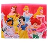 Disney Princess Plastic Folder (2 Pcs Set)