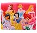 Disney Princess Plastic Folder (2 Pcs Set)