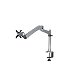 Newstar FPMA-D975 Schwenkarm silber