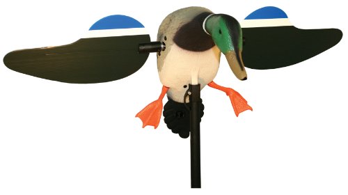 Mojo Outdoors Mallard Drake Decoy