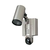 パナソニック電工(Panasonic) センサーライト付カメラ子機(プラチナメタリック) WQD843Yの画像