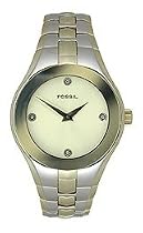Fossil Men's Watch FS4040