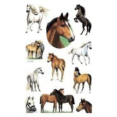 Sticker 76x120mm Pap/begl 2Bg