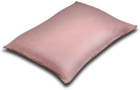 Silver Rest Sleep Shop 25-Inch by 19-Inch Kids Memory Foam Chip Pillow, Pink