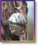  : BioElectric Shield - Sterling Silver with Brass Accents - Mirror Finish