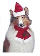 Darling Little Santa Hat and Scarf Set - PET SIZE SMALL