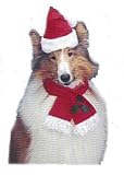 Darling Little Santa Hat and Scarf Set - PET SIZE SMALL