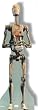 Commander Battle Droid (Star Wars Episode I) Life-Size Standup Poster