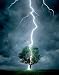 Lightning, Art Poster by Davey