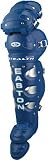 Easton Men's Stealth Youth Leg Guard (Navy/Silver)