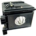 Samsung BP96-01073A Replacement Lamp