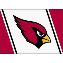 Arizona Cardinals Team Spirit Area Rug