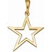 14kt Yellow Gold Rock Star Fashion Pendant