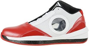 Air Jordan 2010
