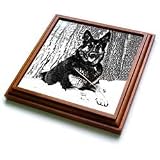 Dogs German Shepherd - German Shepherd - Trivets