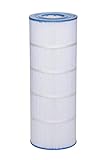 Aladdin 19905-8 Replacement Filter Cartridge for Hayward Star Clear II C-1100