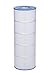 Aladdin 19905-8 Replacement Filter Cartridge for Hayward Star Clear II C-1100