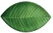 Villeroy & Boch Palm Leaf Servierplatte 50cm (1)