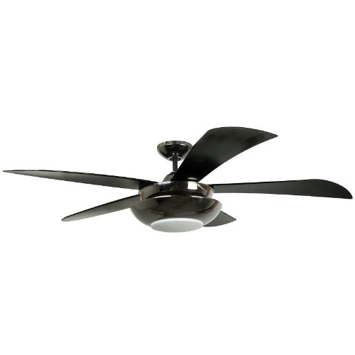 Black ceiling fans sale singapore, playboy 51 yb, grow room oscillating fan placement x ray