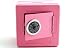 Kitchen & Housewares : Pink Chic Metal Safe