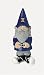 University of Illinois Garden Gnome