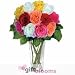 12 Short Stem Mixed Roses