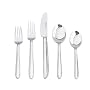 J.A. Henckels Premiere Series Danube 45-Piece Flatware Set Plus Hostess Set, Service for 8