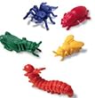 COUNTERS BACKYARD BUGS 72-PK