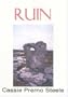 Ruin (New Women's Voices Series, 28)