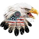 Native Amer Eagle/Feathers Adult T-Shirt