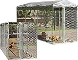 Champion Original Box Dog Kennel 10 foot