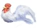 Accent Design Floral and Garden Accents Barnyard Bird Chicken 3 1/2 Feather, White/Red