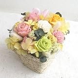 �y���j���E�L�O���E�a�����E�t�����[�M�t�g�E�o���z �v���U�[�u�h�t�����[��BOX