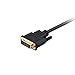J&D Gold Plated DisplayPort to DVI Cable Adapter, DP to DVI (9 Feet)