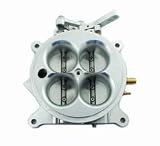 Accel 74202E Fuel Injection Manifolds, Runners, Throttle - ProRam; Oval Port; Manifold Only;
