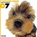 THE DOG ヨークシャーテリア 2007年 カレンダー