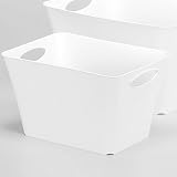 Rotho 7917 Living Box 24 L