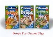 Drops Treats for Guinea Pigs - Yogurt
