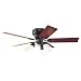 Hunter 21564 The Brunswick Three-Light 52-Inch Five-Blade Ceiling Fan, New Bronze with Cased Globes
