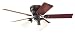 Hunter Fan Company