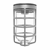 IMAGE OF RAB Lighting Vaporproof Outdoor Close to Ceiling Light