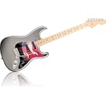 Rain skin for Fender Stratocaster Pickguard