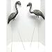 Flamingos Everywhere!