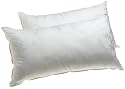 Dream Supreme Plus 100% Gel Filled King Pillows, Set of 2