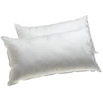 SAVE $85.01 - Dream Supreme Plus 100% Gel Filled King Pillows, Set of 2 $24.99