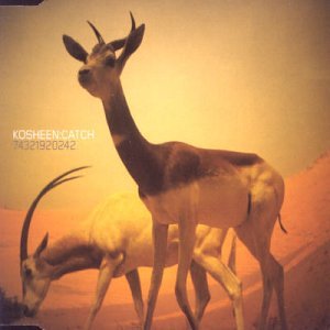 Kosheen - Catch - Zortam Music