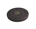 GOLD'S GYM Magnetic Twist Board